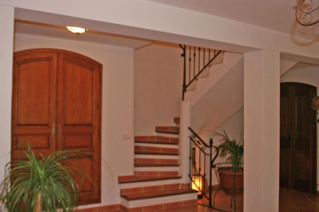 Photo of Others in Cotignac