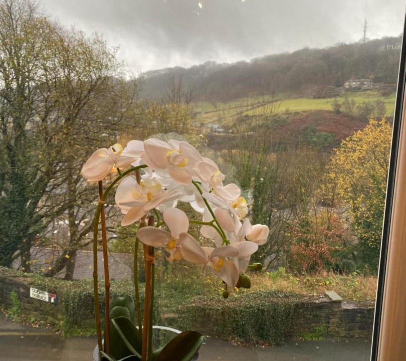 Photo of Others in Wadsworth