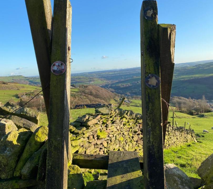 Photo of Others in Wadsworth