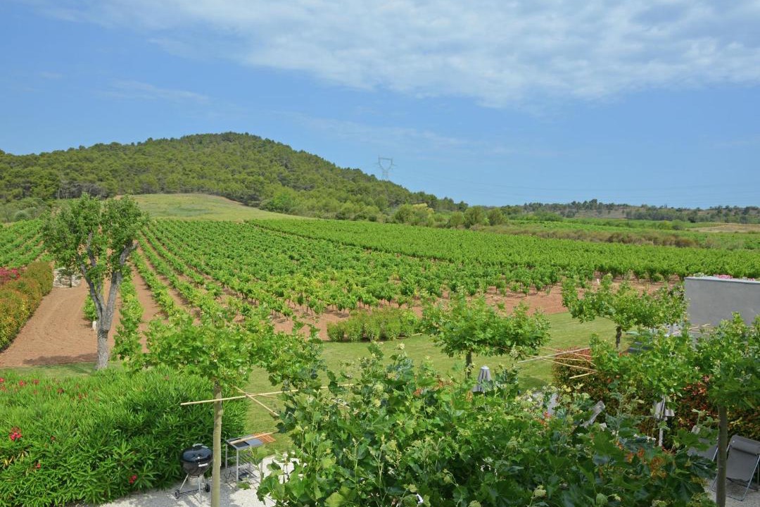 Photo of Outdoor in Rieux-Minervois