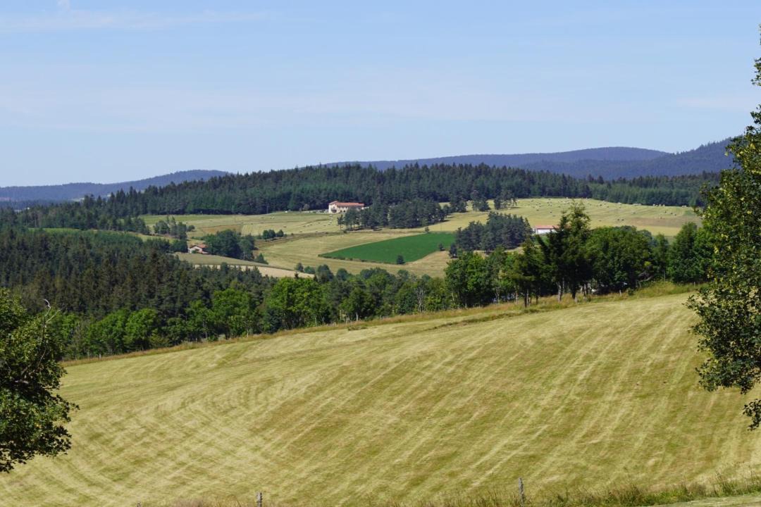 Photo of Others in Saint-Bonnet-le-Froid