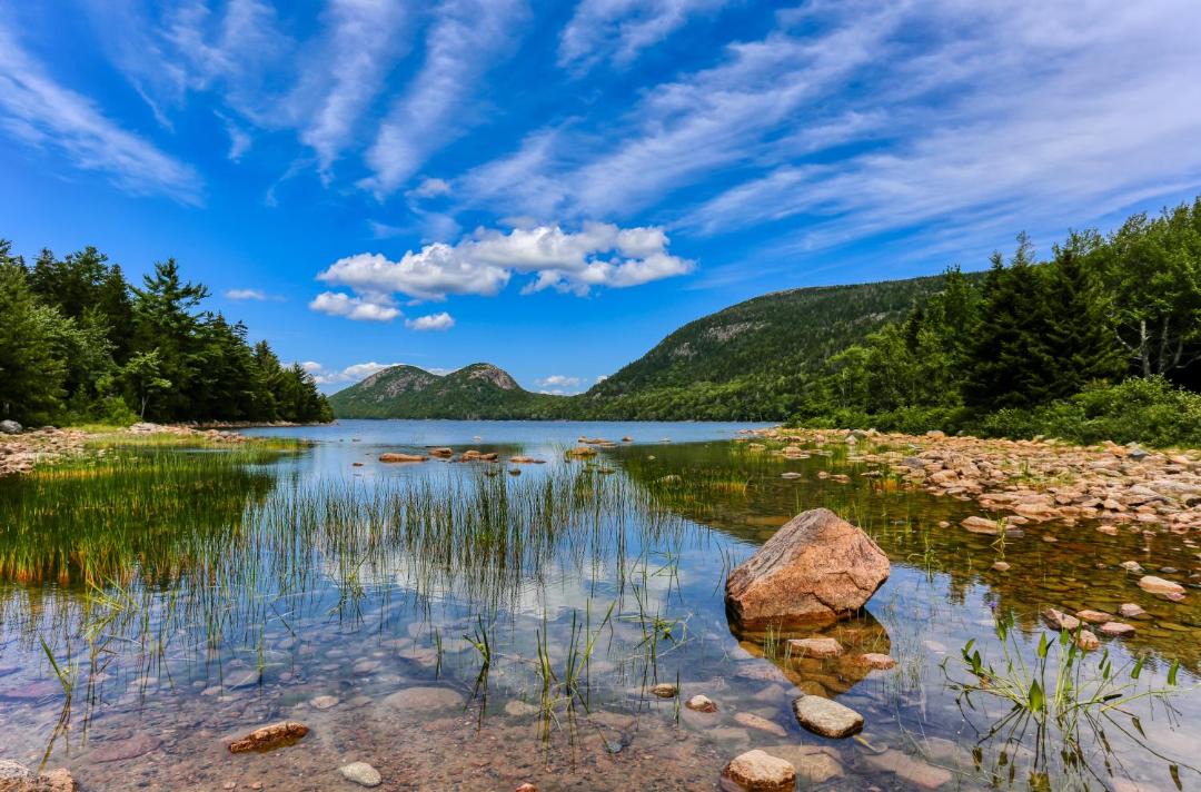 Photo of Others in Stone Haven