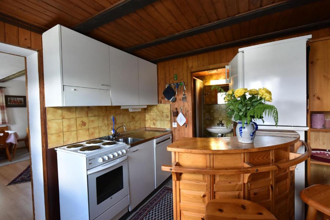 Photo of Kitchen in Tavanasa