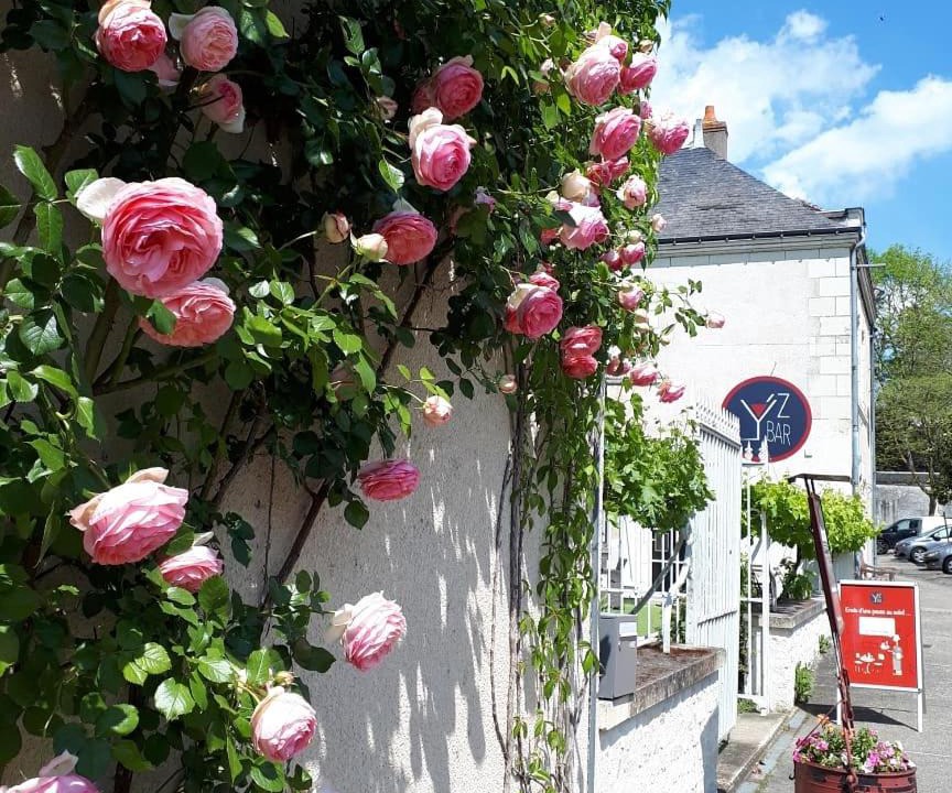 Photo of Others in Yzeures-sur-Creuse