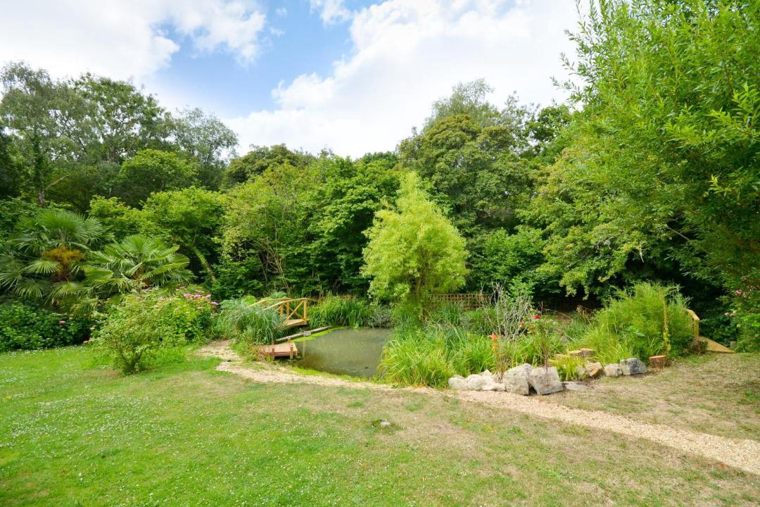 Photo of Others in Whippingham