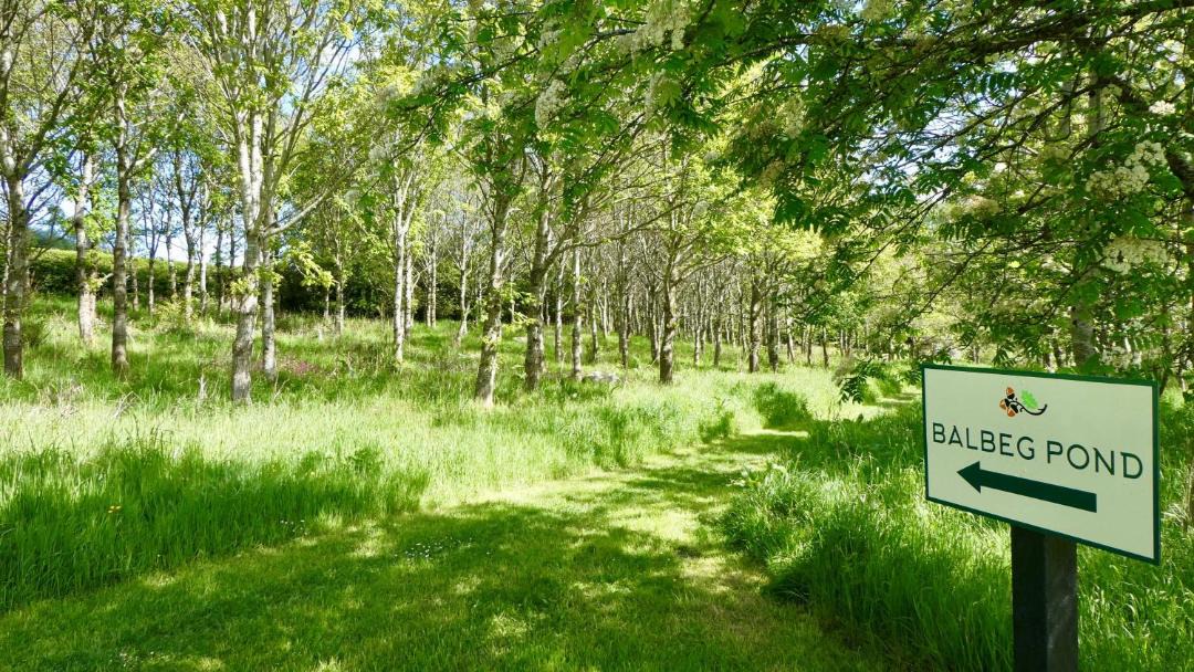 Photo of Others in Maybole