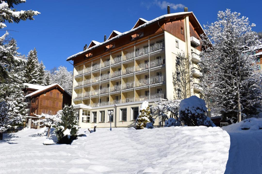 Photo of Others in Wengen