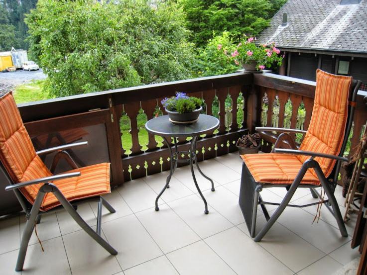 Photo of Patio Balcony in Champery