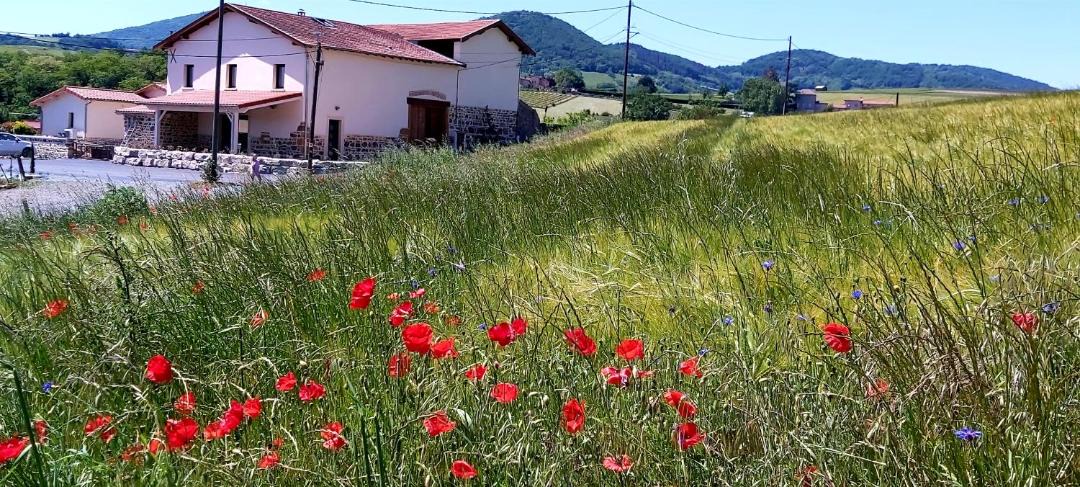 Photo of Others in Bully