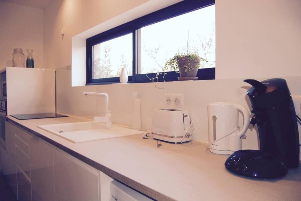 Photo of Others in Vendemian