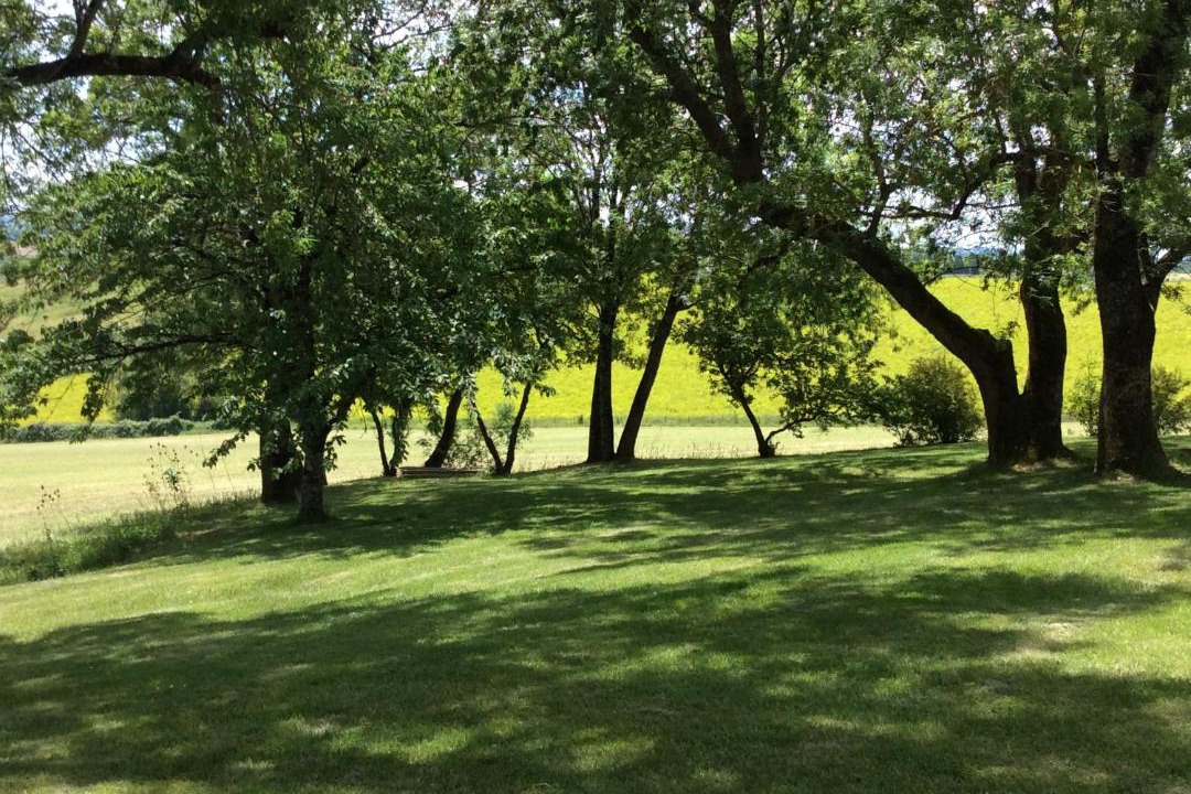 Photo of Outdoor in Sempesserre