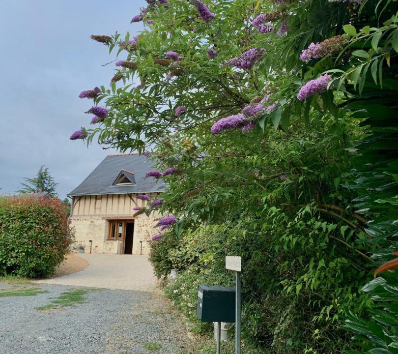 Photo of Others in Boce