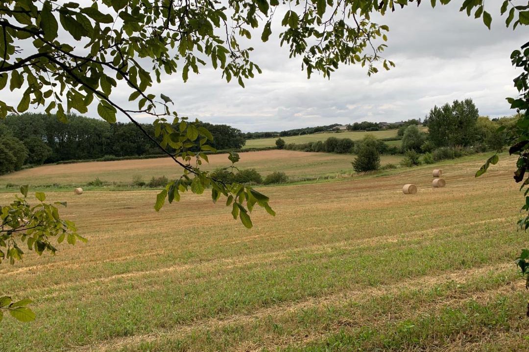 Photo of Others in Boce