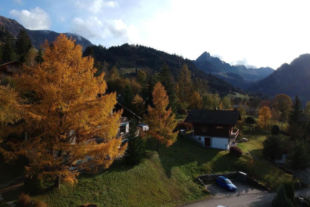Photo of Others in Schwarzsee