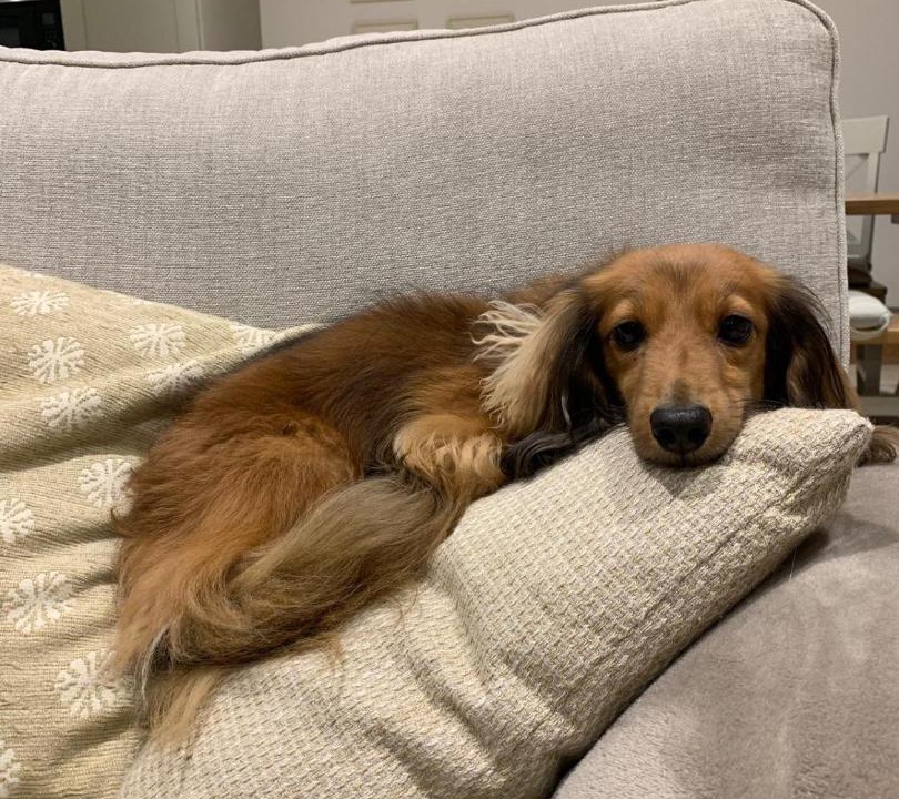 Photo of Others in Petersfield