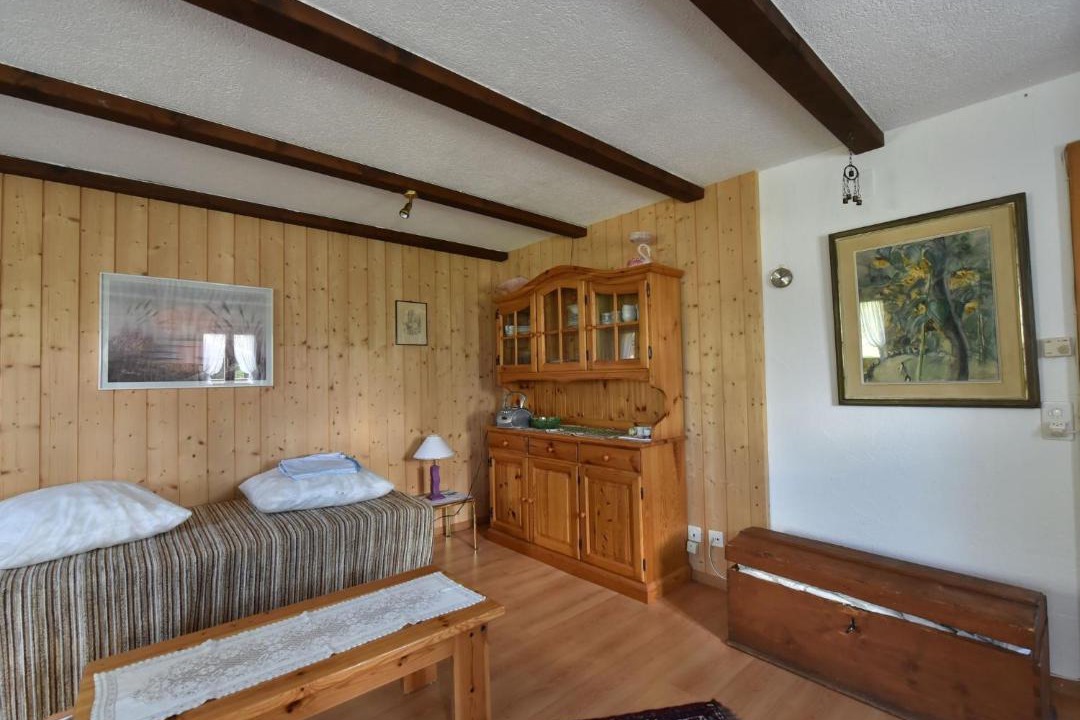 Photo of Livingroom in Tavanasa