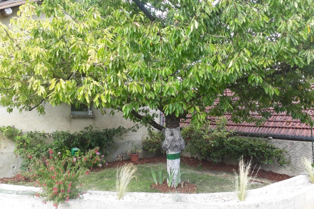 Photo of Others in Morangis