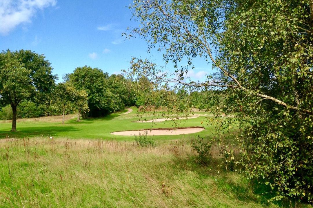 Photo of Others in Nibe