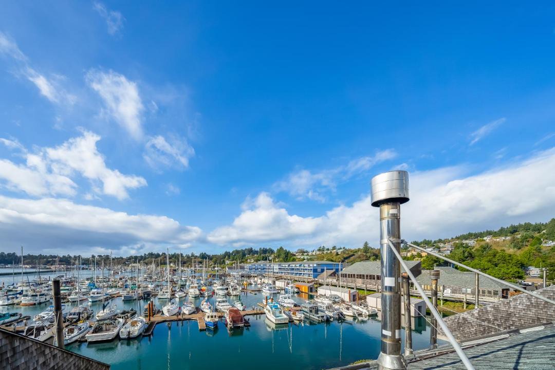 Photo of Others in Historic Bayfront