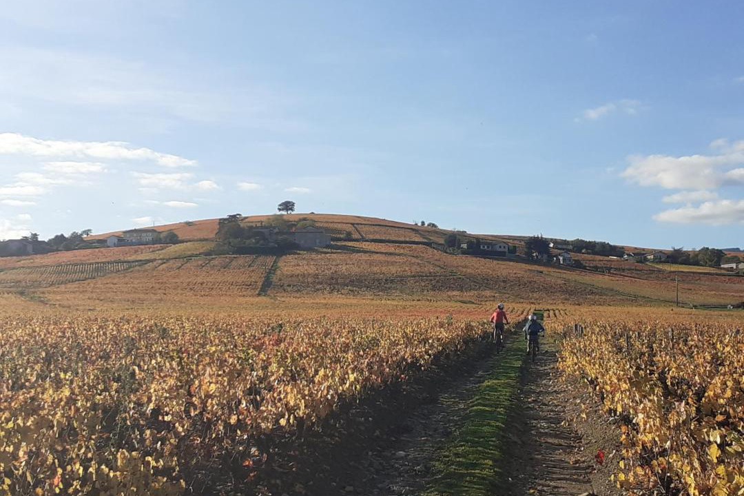 Photo of Others in Villie-Morgon