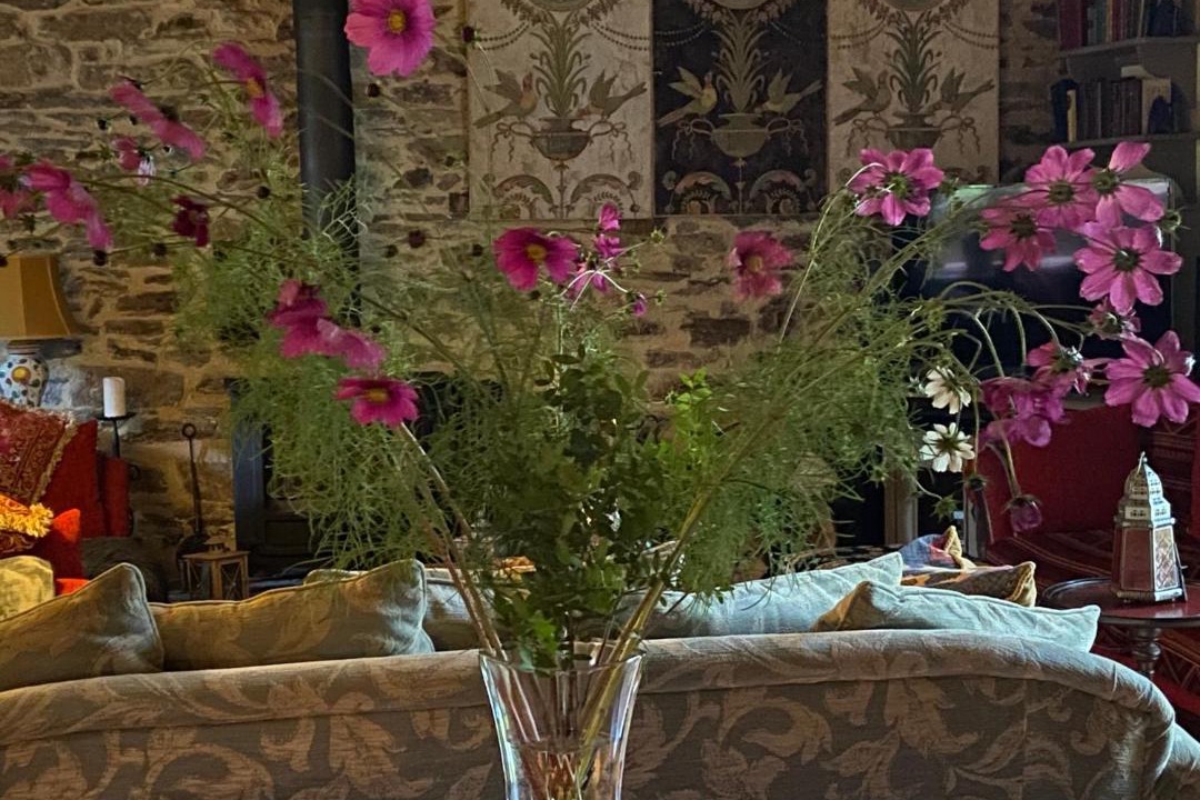 Photo of Others in Saint-Remy