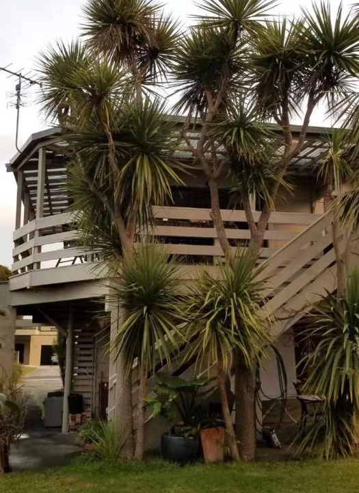 Photo of Others in Apollo Bay