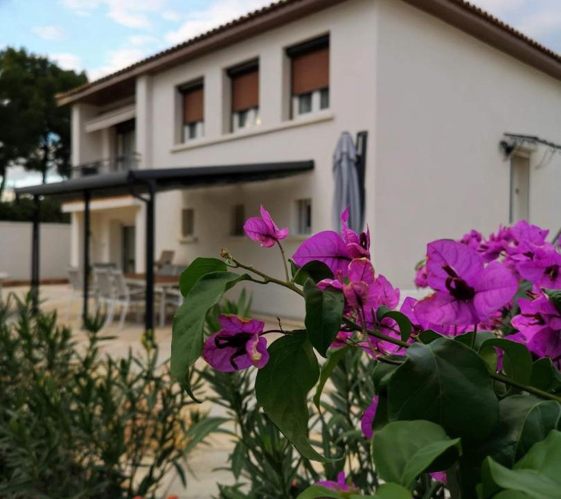 Photo of Others in Castries