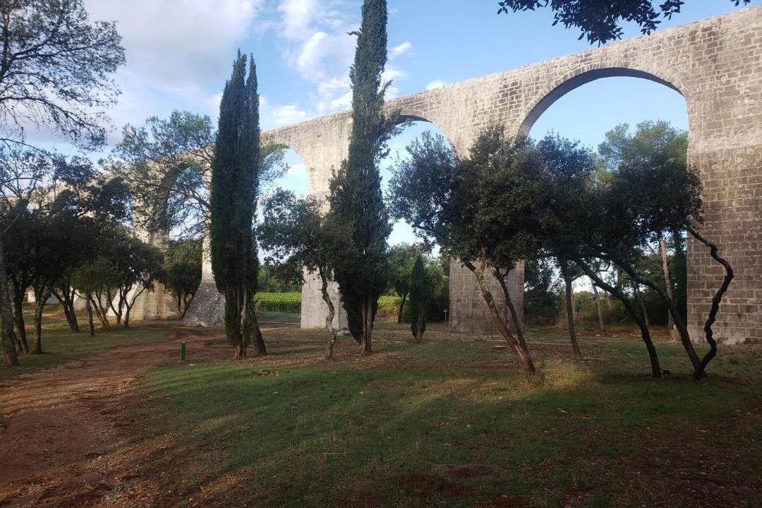 Photo of Others in Castries