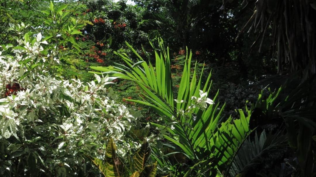 Photo of Others in Bunaken