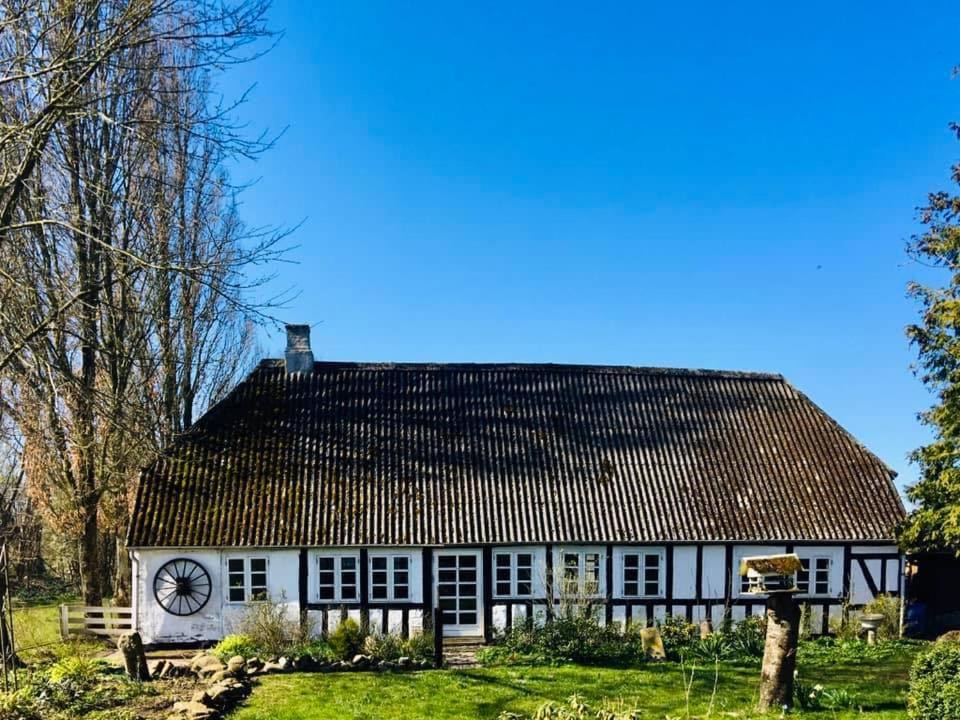 Photo of Buildings in Bogense