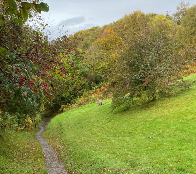 Photo of Others in Colbost