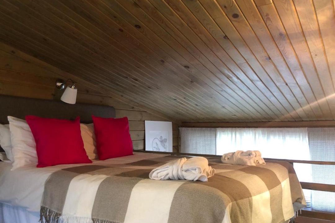 Photo of Others in Ershov