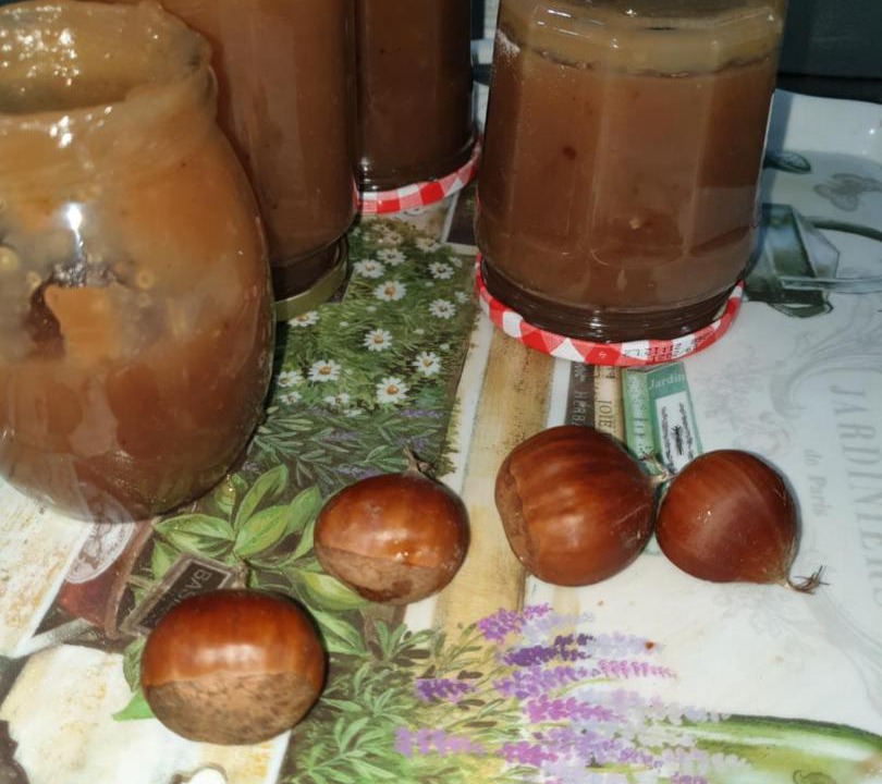 Photo of Others in Terrasson-la-Villedieu