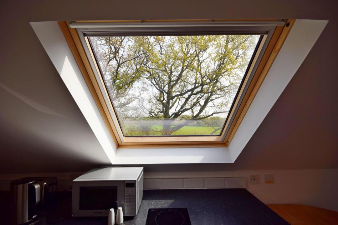 Photo of Others in Chichester