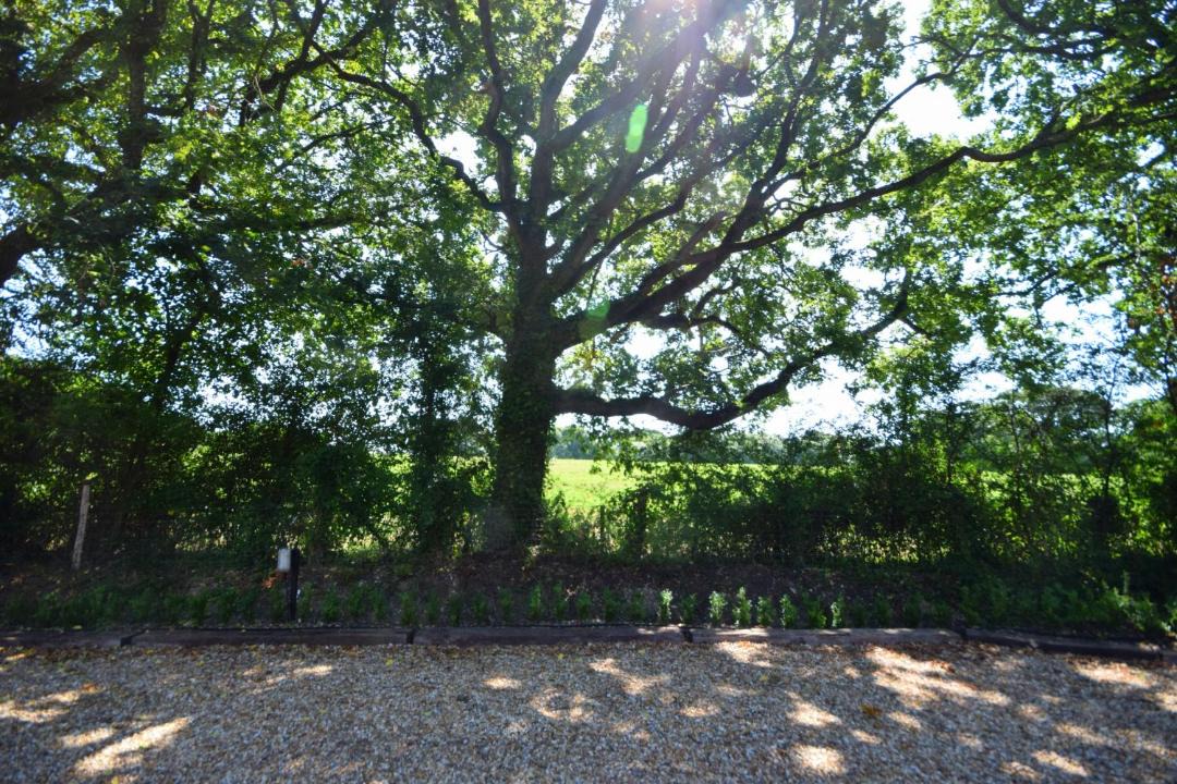 Photo of Others in Chichester