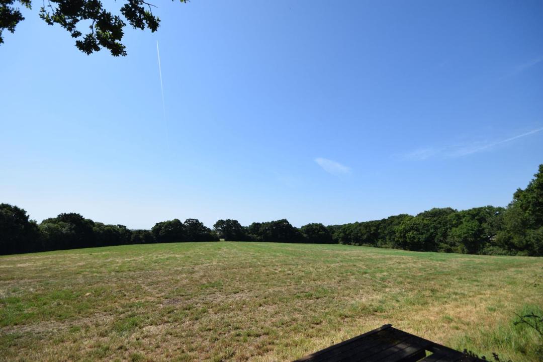 Photo of Others in Chichester