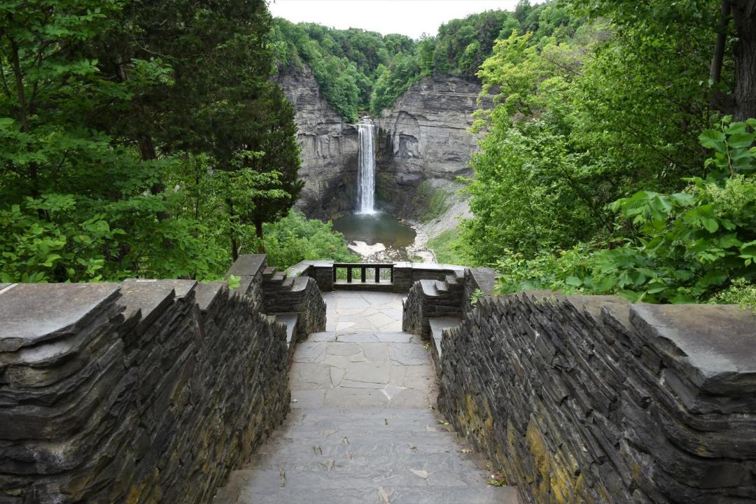 Photo of Others in Trumansburg