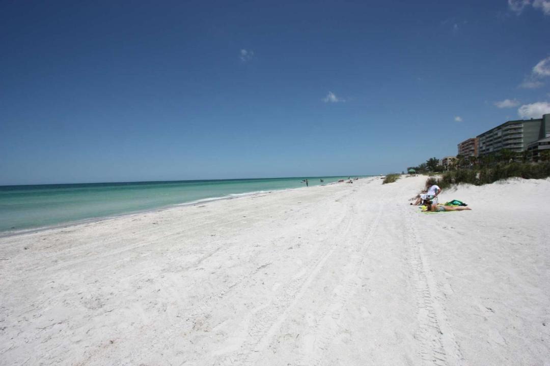 Photo of Others in Indian Shores