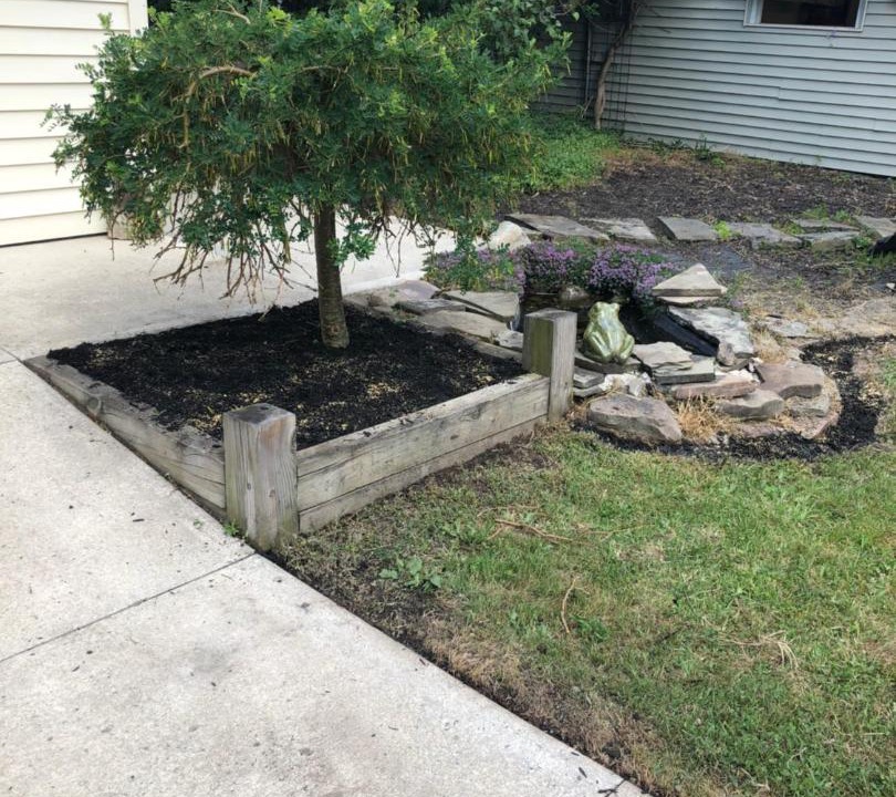 Photo of Others in Black Creek