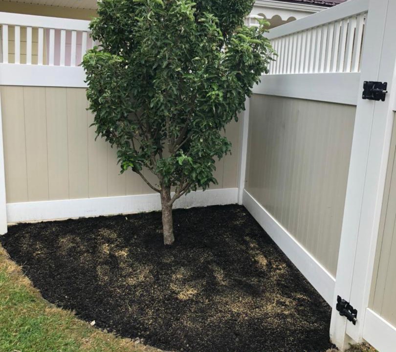 Photo of Others in Black Creek