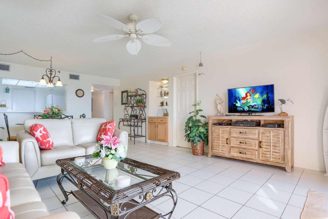 Photo of Others in Indian Rocks Beach
