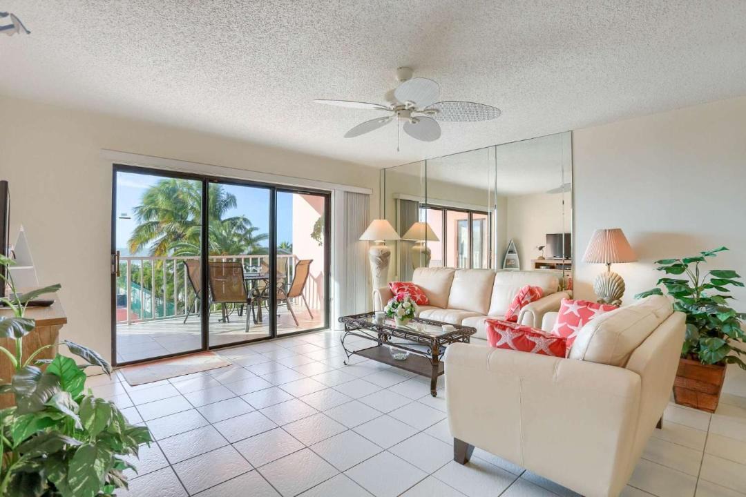 Photo of Others in Indian Rocks Beach
