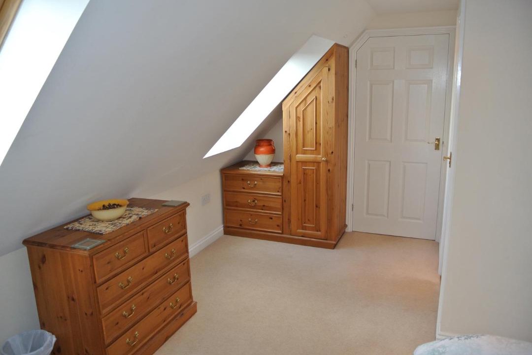 Photo of Others in Lake