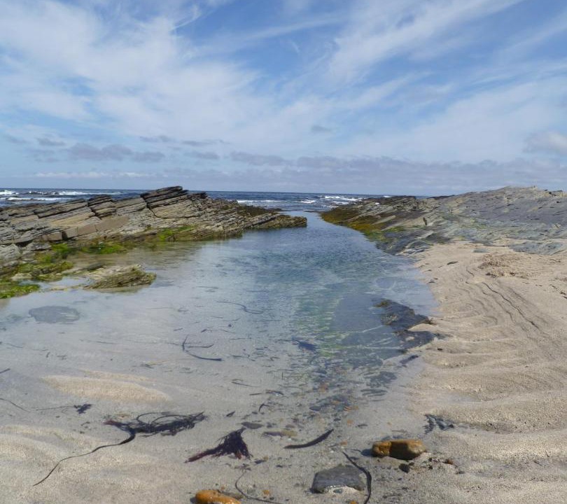 Photo of Others in Kirkwall