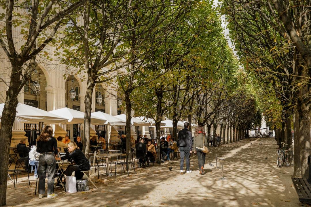 Photo of Others in Quartier de la Porte-Saint-Denis