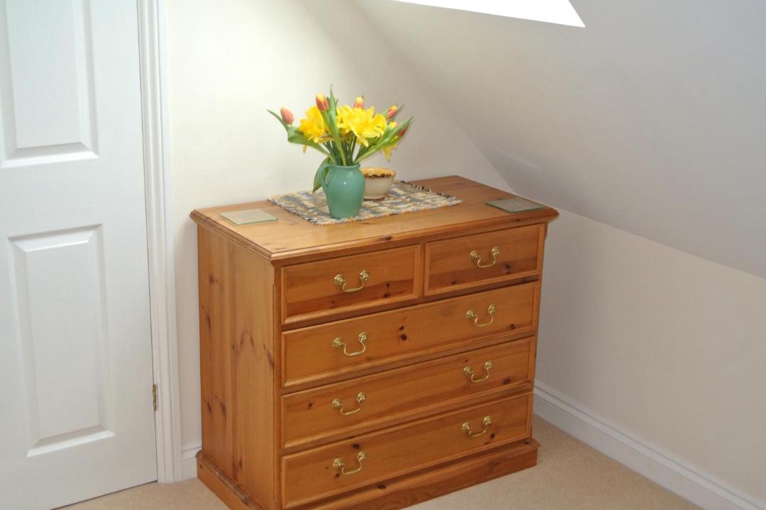 Photo of Others in Lake