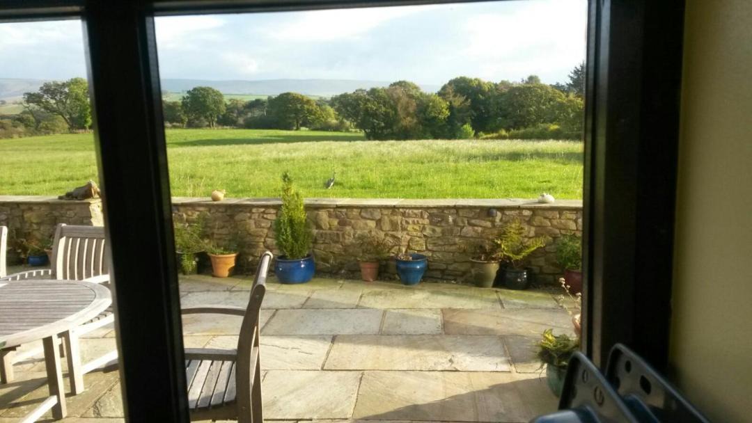 Photo of Others in Dolphinholme