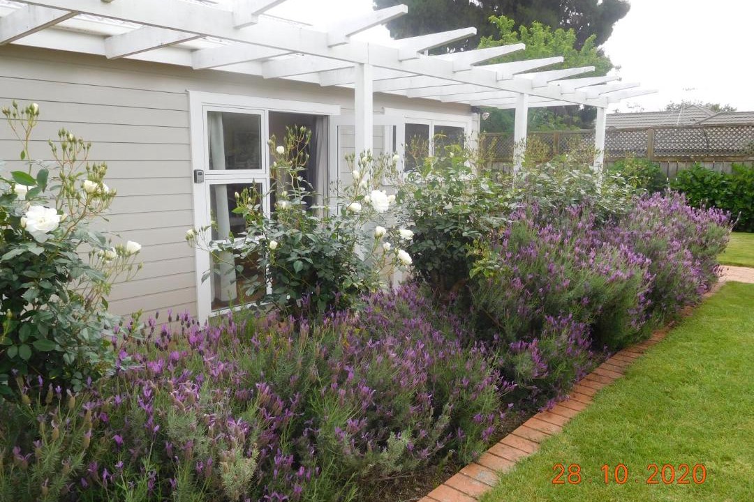 Photo of Buildings in Te Rapa