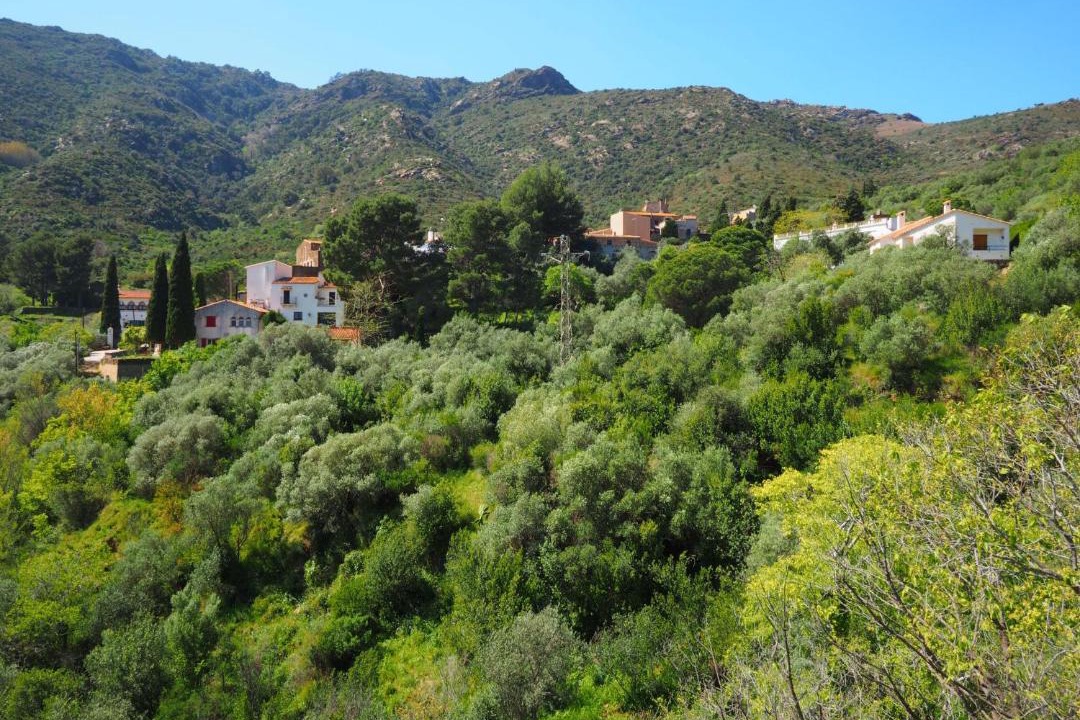 Photo of Others in La Vall de Santa Creu