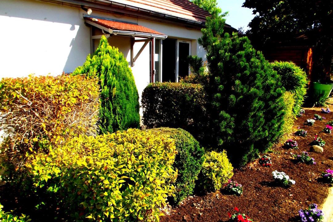 Photo of Others in Chaumontel